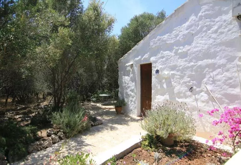 اتاق استاندارد یک نفره, Agroturismo Matxani Gran