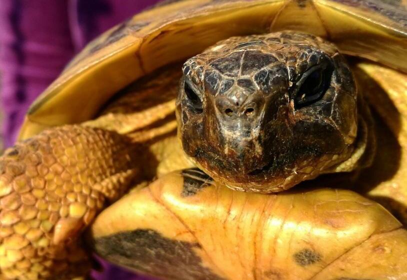 בית, חדר שינה 1, Agroturismo Matxani Gran