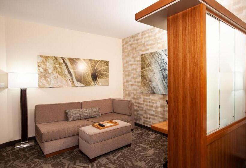 キングサイドベッドのスタンダードワンルーム, Springhill Suites Wenatchee