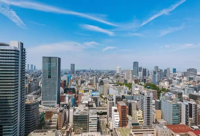 اتاق دلوکس با تخت کینگ و چشم‌انداز شهر, St. Regis Osaka