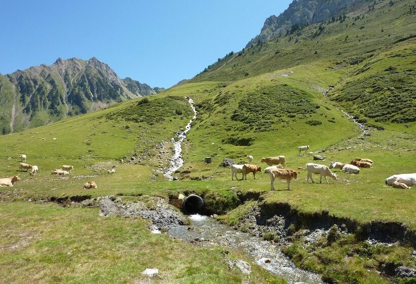 استودیوی استاندارد, Résidence Mer & Golf Pic Du Midi