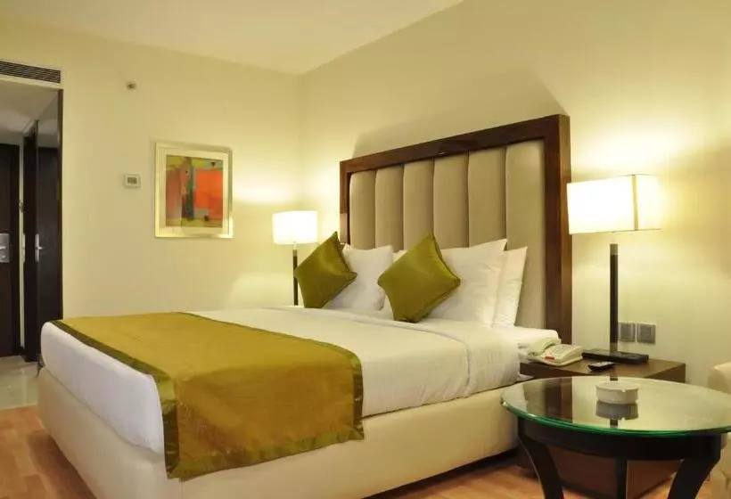 Quarto deluxe, Adarsh Hamilton