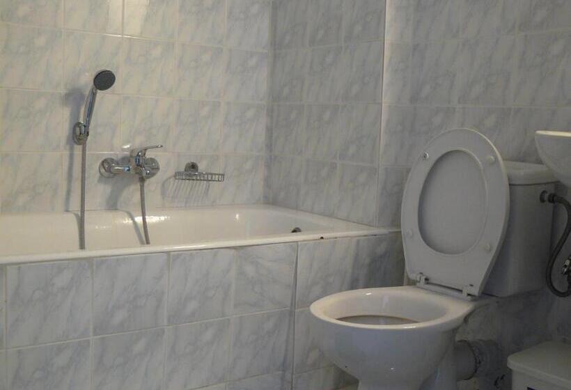 １ベッドルームアパートメント, Leonidas Studios & Apartments