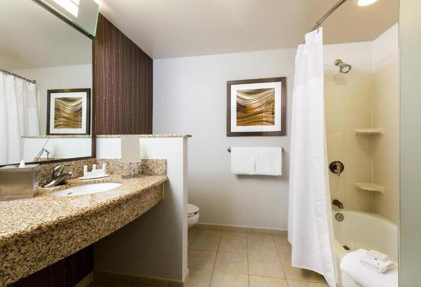 Номер Executive Кровать Кинг, Courtyard By Marriott Houston Galleria