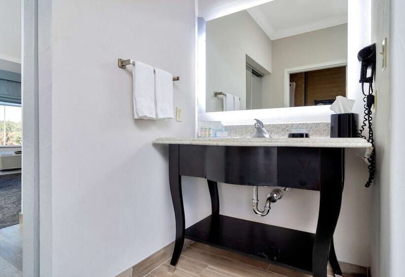 スタンダードスタジオ, Hampton Inn & Suites Fort Worth Fossil Creek