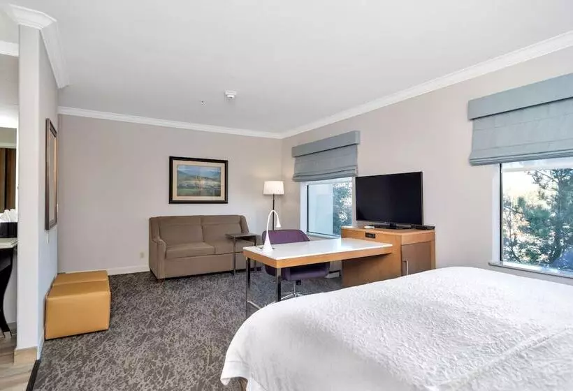 استودیوی استاندارد, Hampton Inn & Suites Fort Worth Fossil Creek