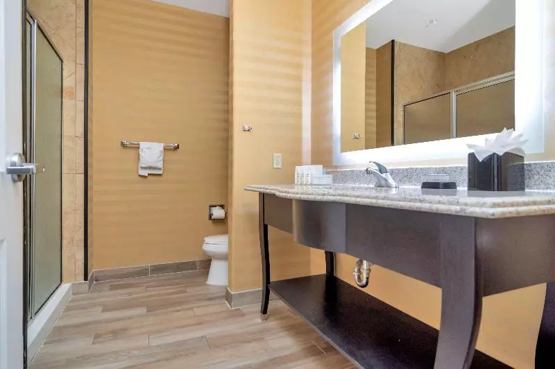 اتاق استاندارد با تخت بزرگ, Hampton Inn & Suites Fort Worth Fossil Creek