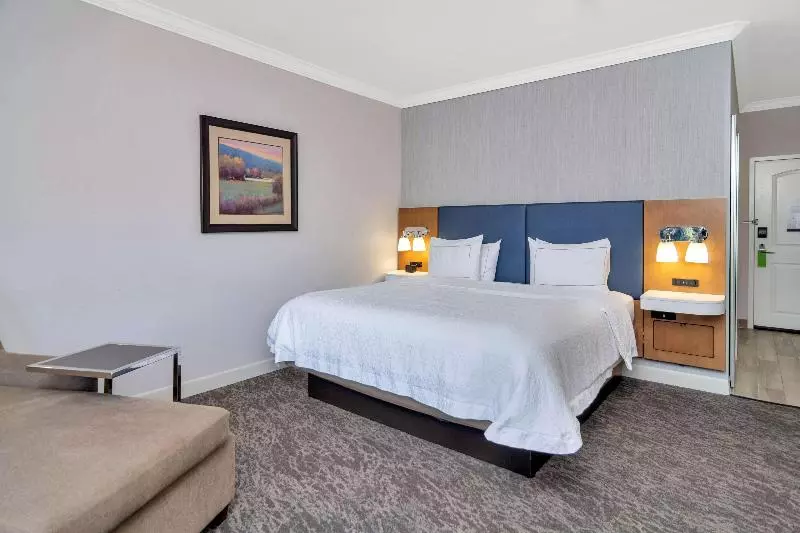 اتاق استاندارد با تخت بزرگ, Hampton Inn & Suites Fort Worth Fossil Creek