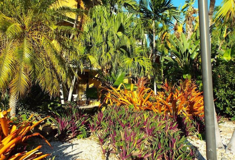 Standard Szoba 2 Franciaággyal, Hampton Inn Key Largo Manatee Bay