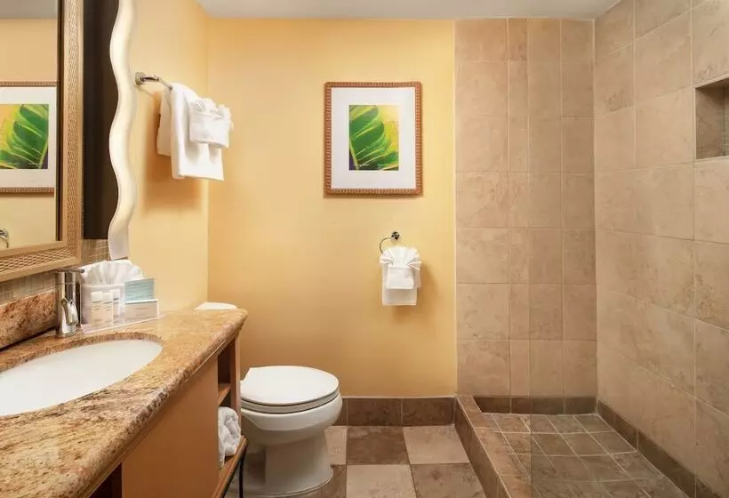 ダブルベッドスタンダードルーム, Hampton Inn Key Largo Manatee Bay