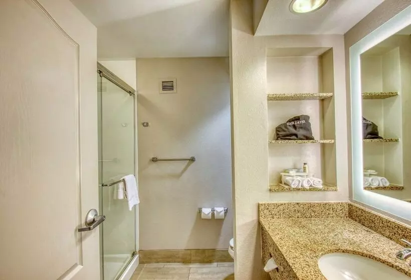 スタンダードルーム, Holiday Inn Express Hotel & Suites Milwaukee Airport, An Ihg