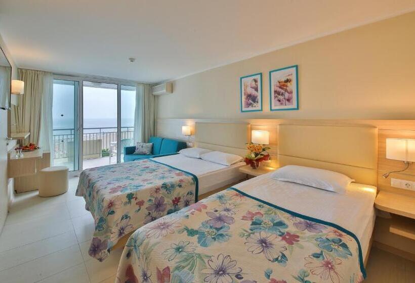 スタンダードルーム, Laguna Beach