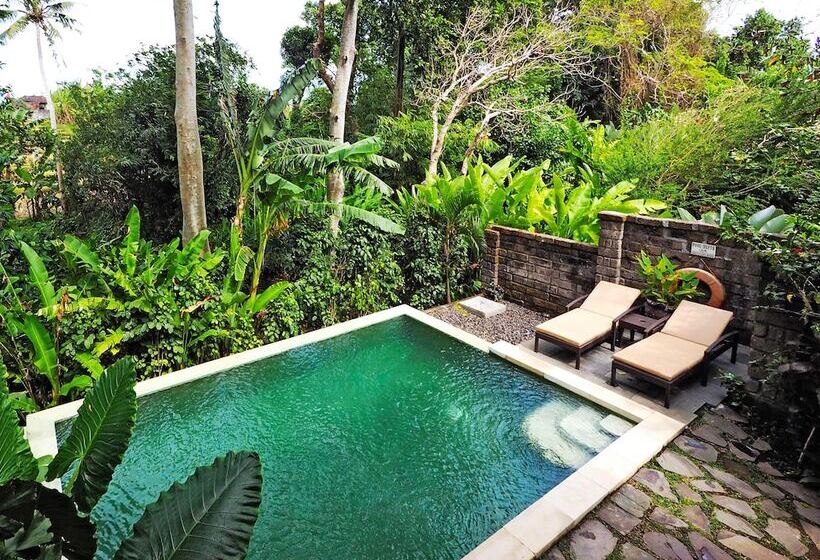 Вилла с 1 спальней и бассейном, Villa Canggu By Plataran
