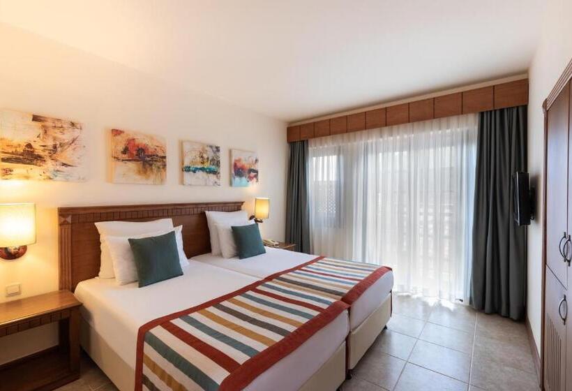 غرفة قياسية, Paloma Grida