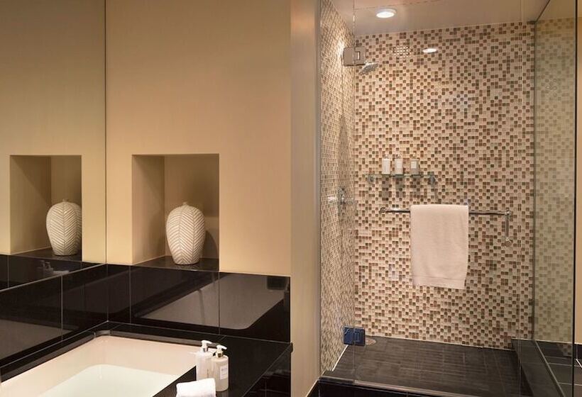 带1个卧室的公寓, Viceroy Snowmass