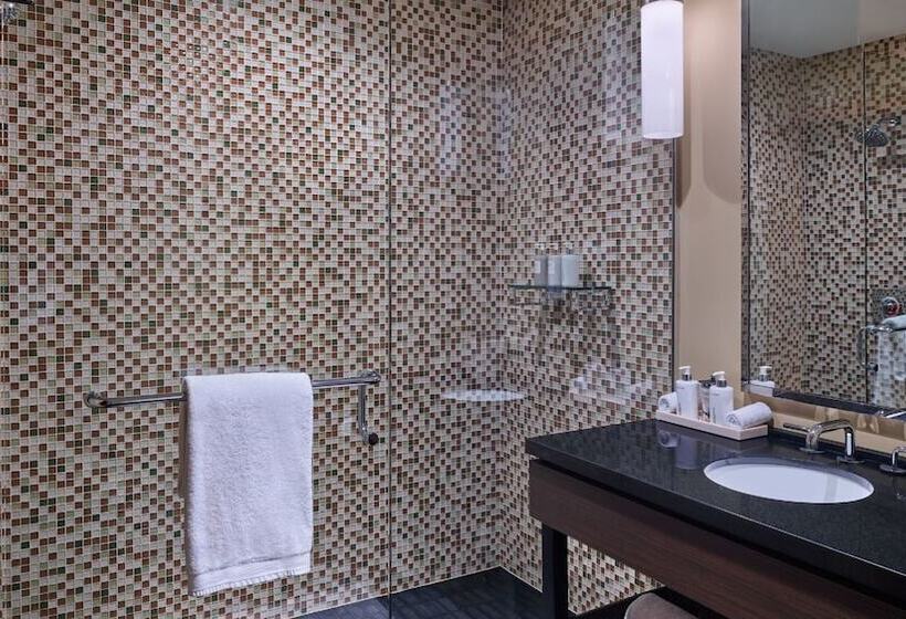 Апартаменты 1 Спальня, Viceroy Snowmass