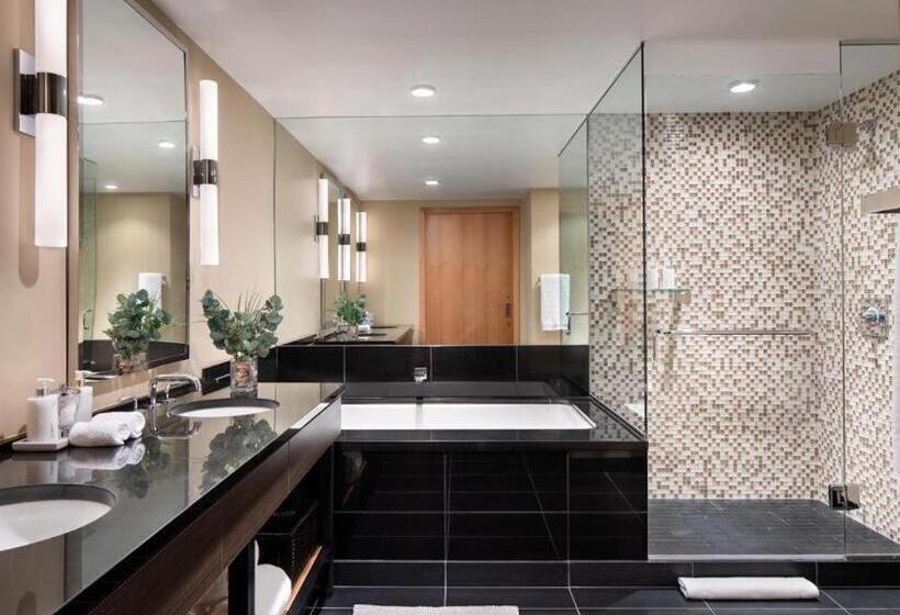 套房, Viceroy Snowmass