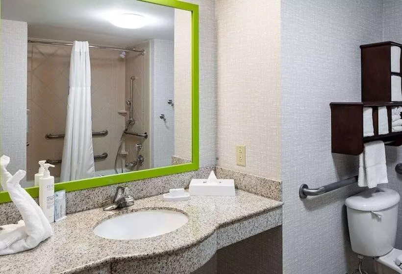 スタンダードルーム, Hampton Inn & Suites St. Louis At Forest Park
