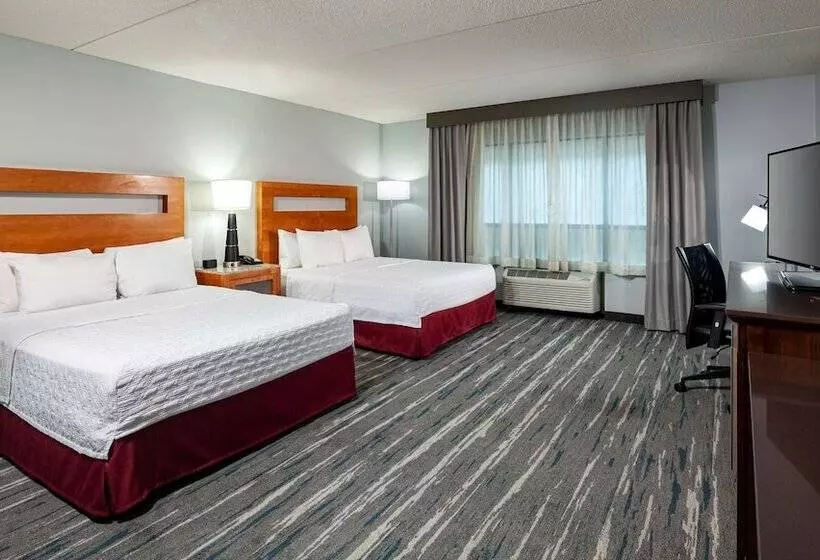 スタンダードルーム, Hampton Inn & Suites St. Louis At Forest Park