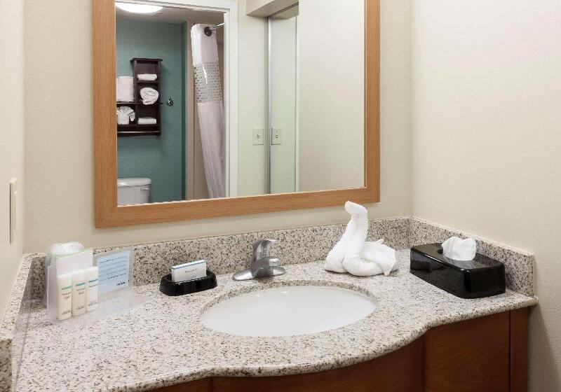 스위트 킹사이즈 침대, Hampton Inn & Suites St. Louis At Forest Park