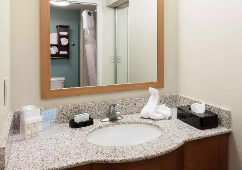 キングサイズベッドのスイートルーム, Hampton Inn & Suites St. Louis At Forest Park