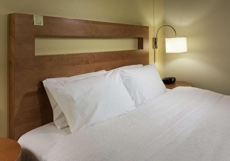 스탠다드 룸 킹사이즈 침대, Hampton Inn & Suites St. Louis At Forest Park