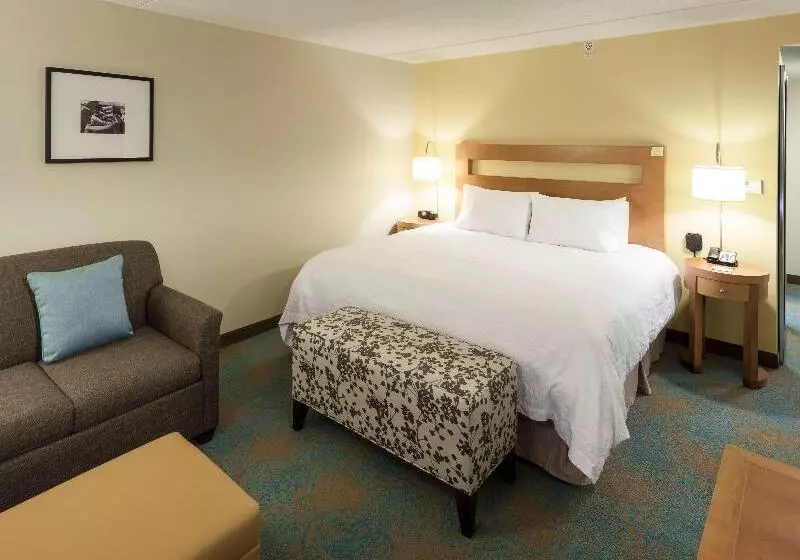 キングサイズベッドのスタンダードルーム, Hampton Inn & Suites St. Louis At Forest Park