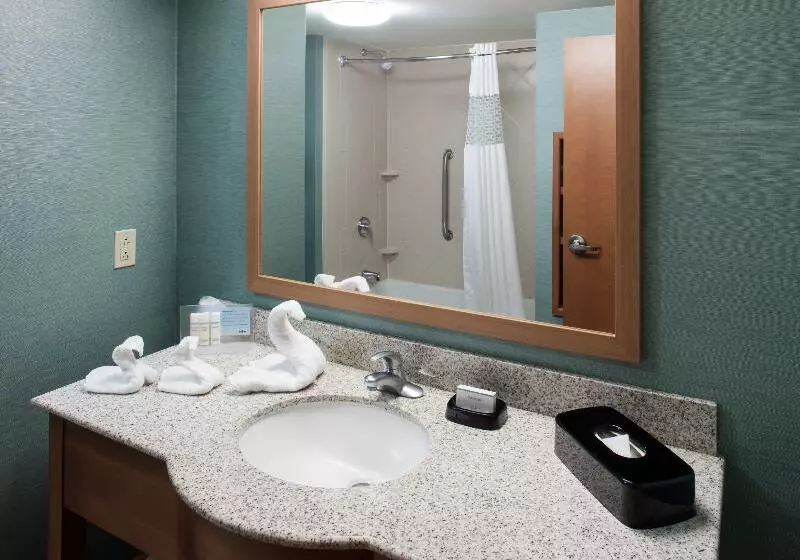 キングサイズベッドのスタンダードルーム, Hampton Inn & Suites St. Louis At Forest Park