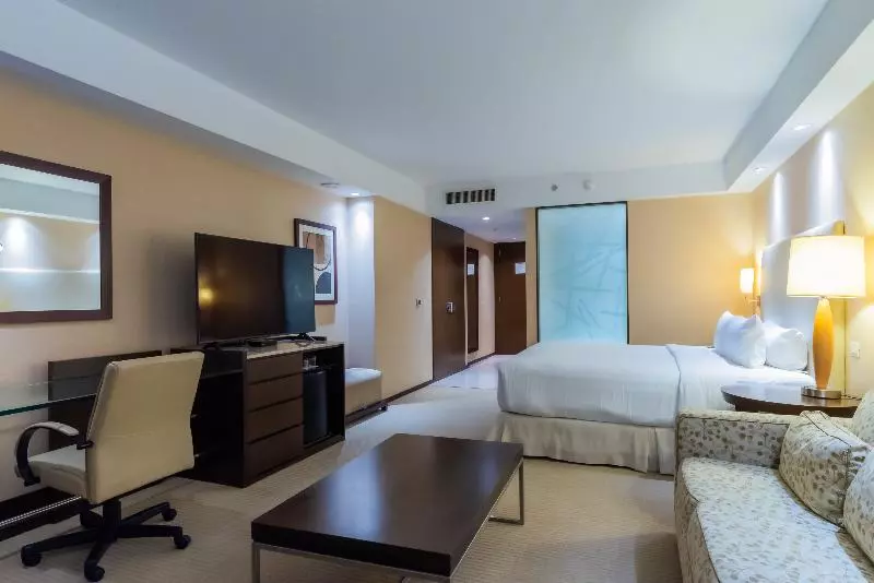 デラックスルーム, Hilton Mendoza