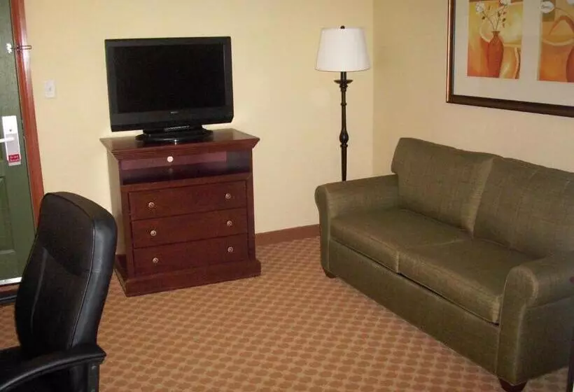 سوئیت با تخت بزرگ, Comfort Inn & Suites