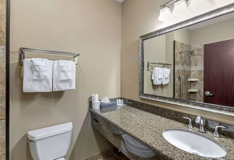 اتاق استاندارد, Comfort Inn & Suites Fort Worth  Fossil Creek
