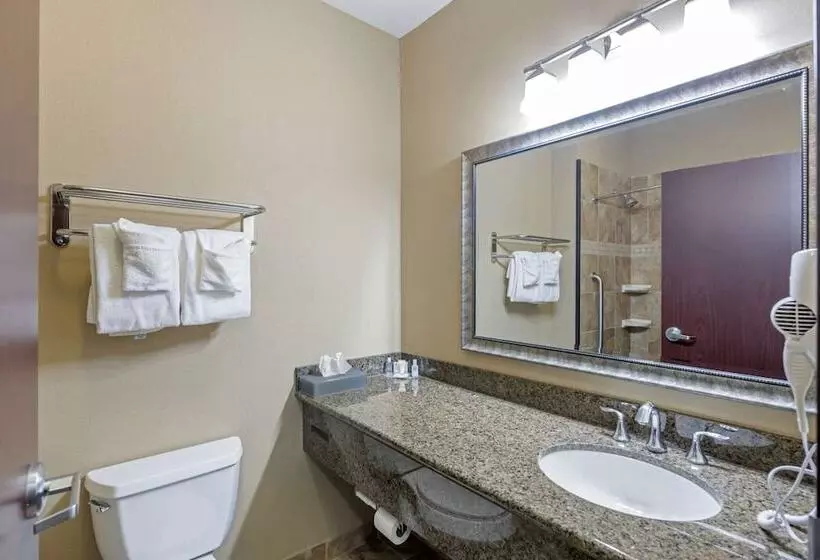 اتاق استاندارد, Comfort Inn & Suites Fort Worth  Fossil Creek