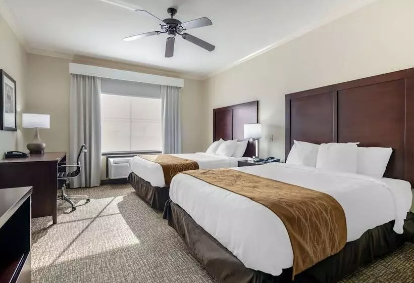 اتاق استاندارد, Comfort Inn & Suites Fort Worth  Fossil Creek