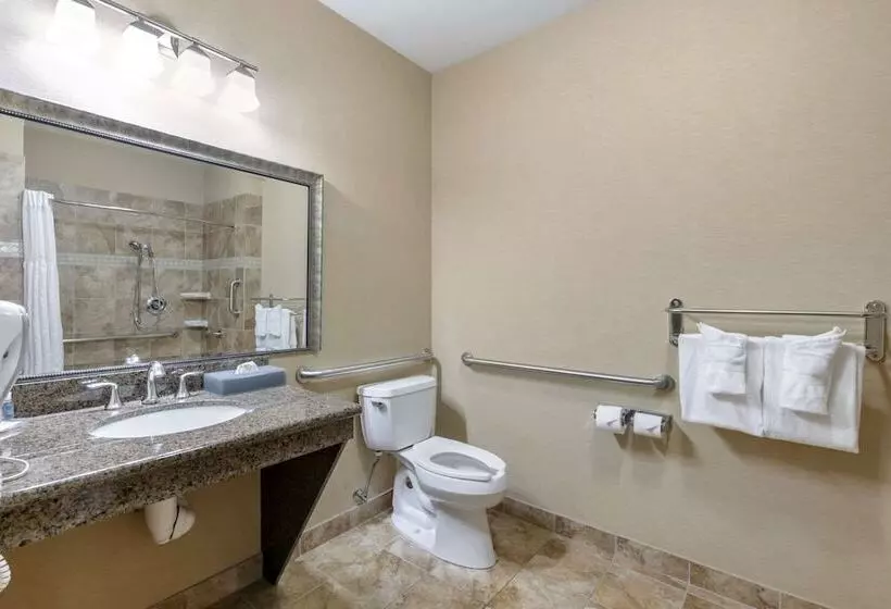 سوئیت برای معلولان, Comfort Inn & Suites Fort Worth  Fossil Creek