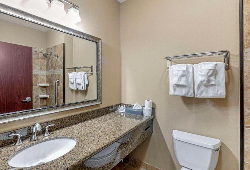 キングサイズベッドのスタンダードルーム, Comfort Inn & Suites Fort Worth  Fossil Creek