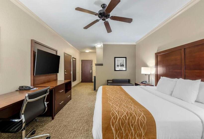 带大床的标准间, Comfort Inn & Suites Fort Worth  Fossil Creek