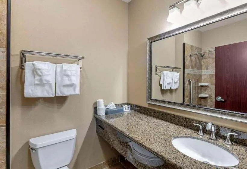 سوئیت با تخت بزرگ, Comfort Inn & Suites Fort Worth  Fossil Creek