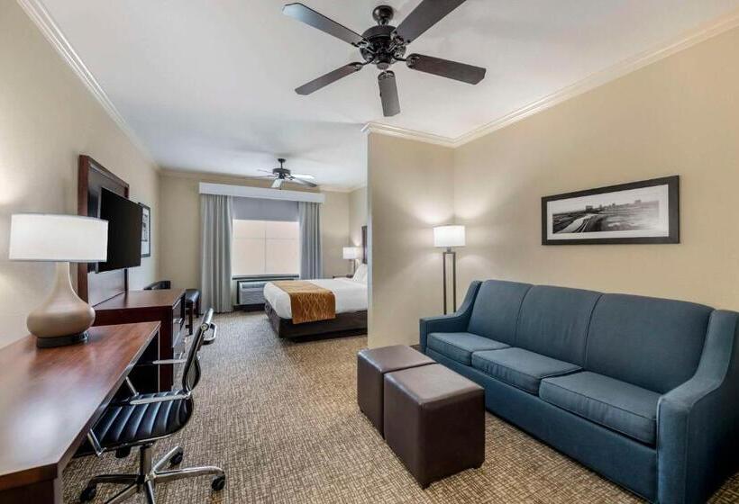 キングサイズベッドのスイートルーム, Comfort Inn & Suites Fort Worth  Fossil Creek