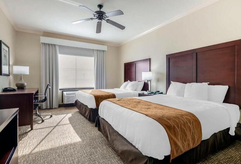 スイート, Comfort Inn & Suites Fort Worth  Fossil Creek