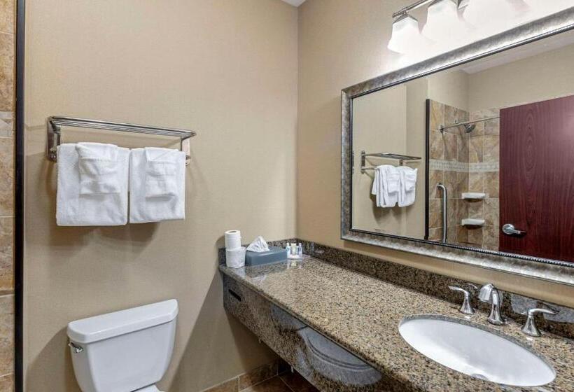 スタンダードルーム, Comfort Inn & Suites Fort Worth  Fossil Creek