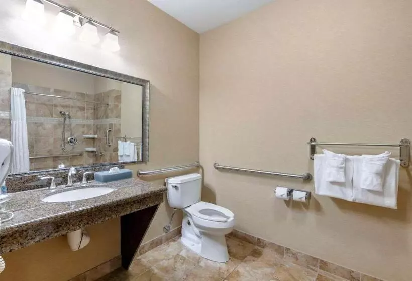 اتاق استاندارد با تخت بزرگ برای معلولان, Comfort Inn & Suites Fort Worth  Fossil Creek