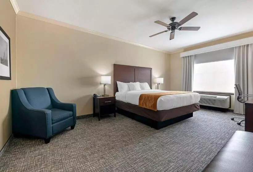 اتاق استاندارد با تخت بزرگ برای معلولان, Comfort Inn & Suites Fort Worth  Fossil Creek