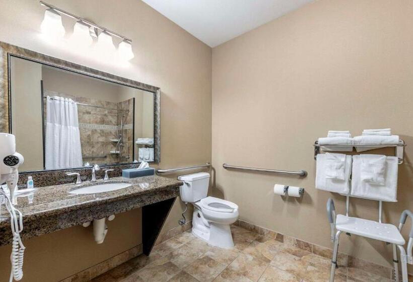 适合残疾人使用的标准间, Comfort Inn & Suites Fort Worth  Fossil Creek