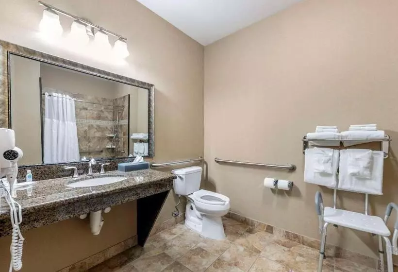اتاق استاندارد برای معلولان, Comfort Inn & Suites Fort Worth  Fossil Creek