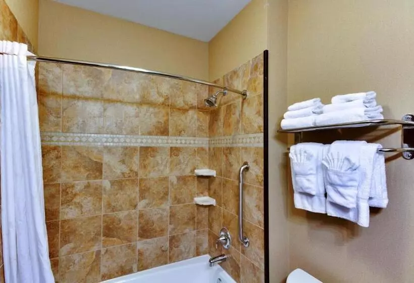 اتاق استاندارد برای معلولان, Comfort Inn & Suites Fort Worth  Fossil Creek