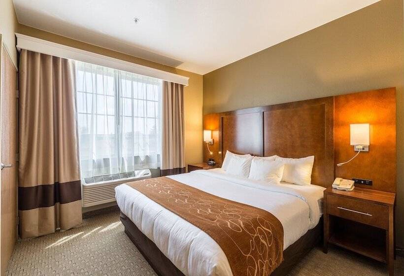 جناح, Comfort Suites Burlington