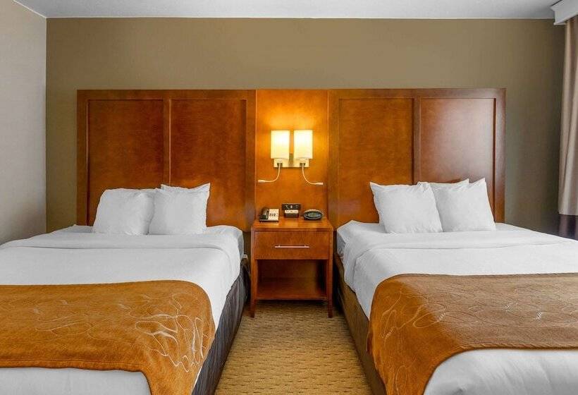 جناح, Comfort Suites Burlington