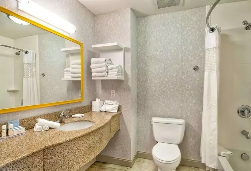 身障者適用スイートルーム, Hampton Inn And Suites Hemet