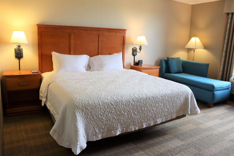 스탠다드 룸 킹사이즈 침대, Hampton Inn & Suites Thibodaux