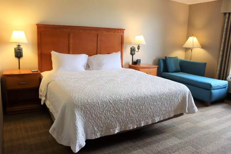 キングサイズベッドのスタンダードルーム, Hampton Inn & Suites Thibodaux